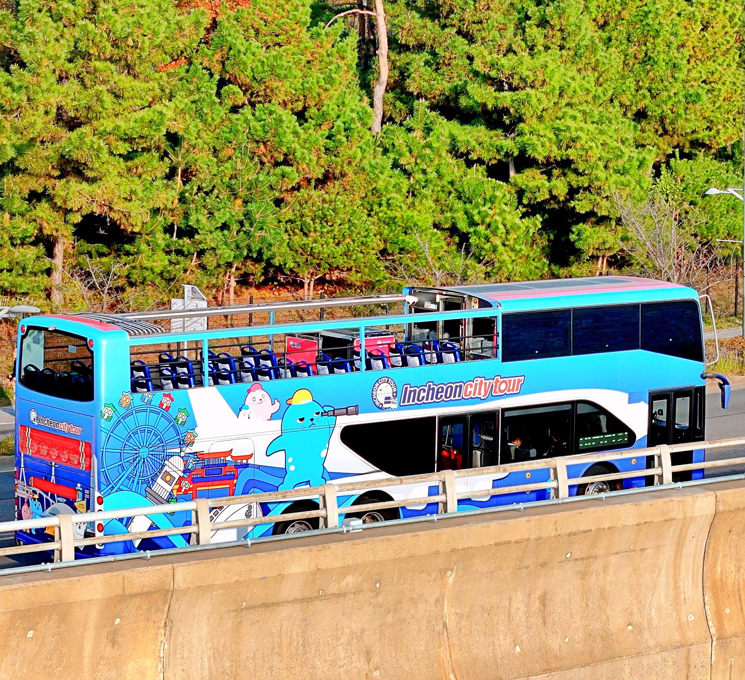 DISCO BUS photo